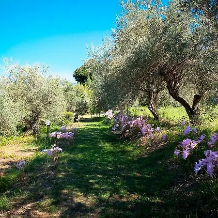 Levante Alloggio per agriturismo *